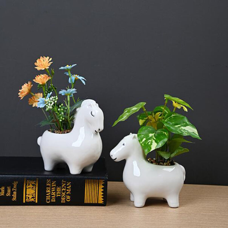 Biała Porcelanowa Kreatywna Do – Bonsai Garden Art recenzja i cena